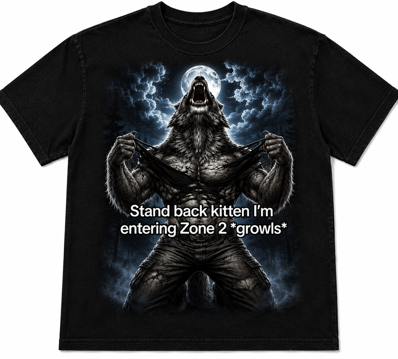 Entering Zone 2 Tee — Funny Running Shirt